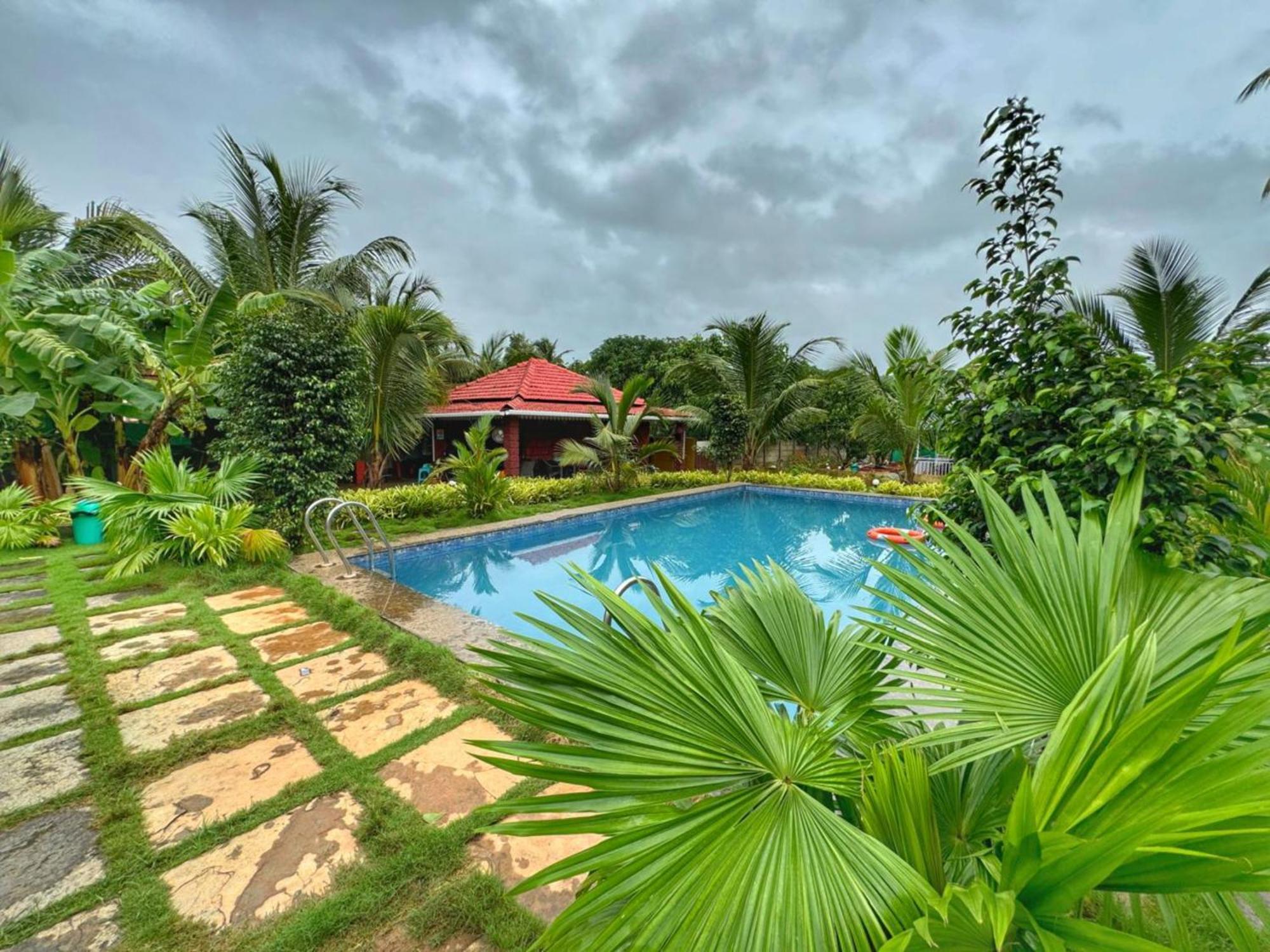 White Truffle Resort, Arambol Exterior foto