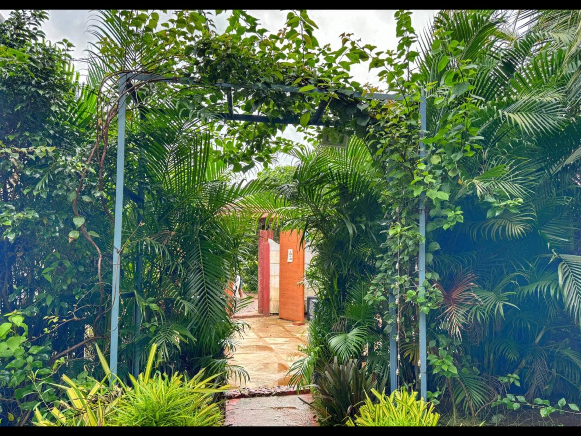 White Truffle Resort, Arambol Exterior foto