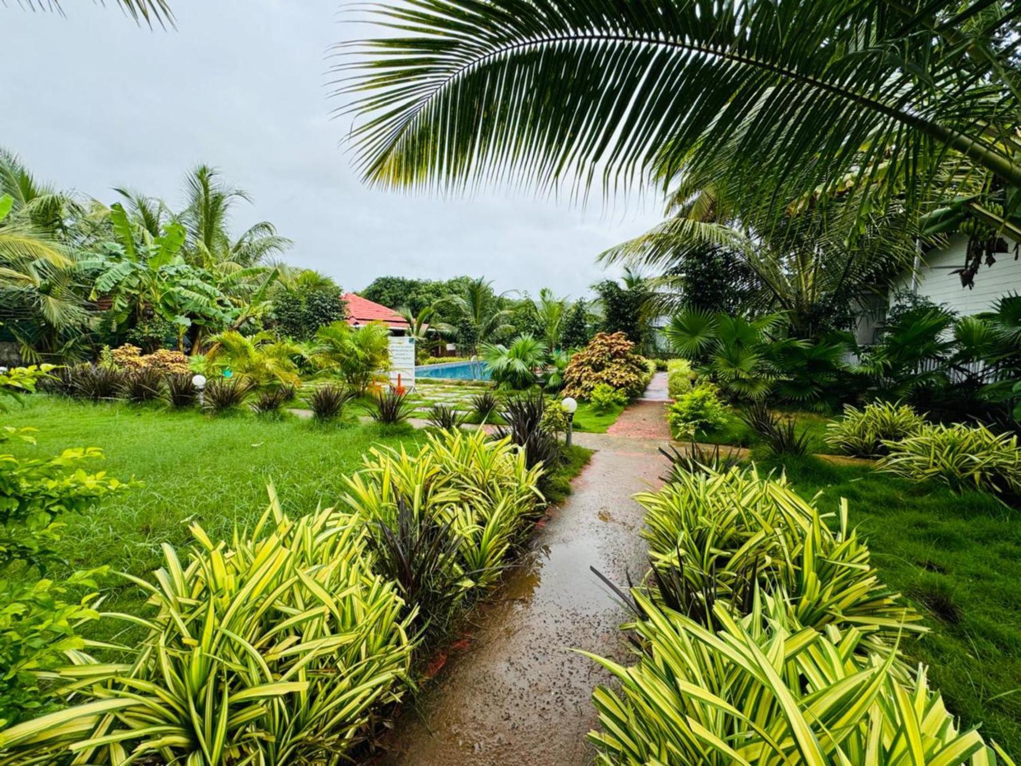White Truffle Resort, Arambol Exterior foto