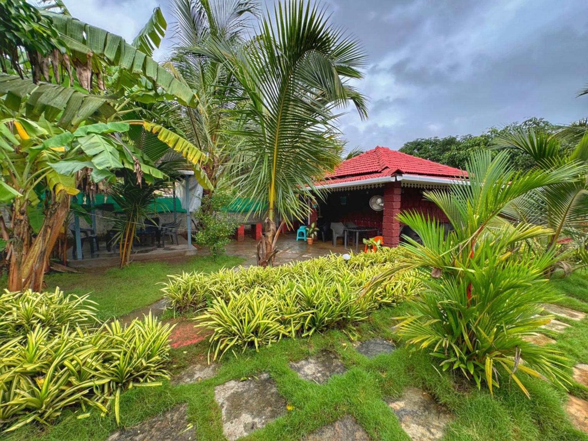White Truffle Resort, Arambol Exterior foto